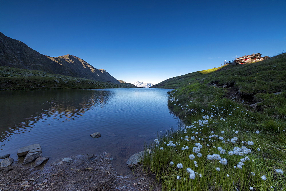 View of Rifugio Bozzi framed by cotton grass and blue lake, Val Di Viso, Camonica Valley, province of Brescia, Lombardy, Italy, Europe