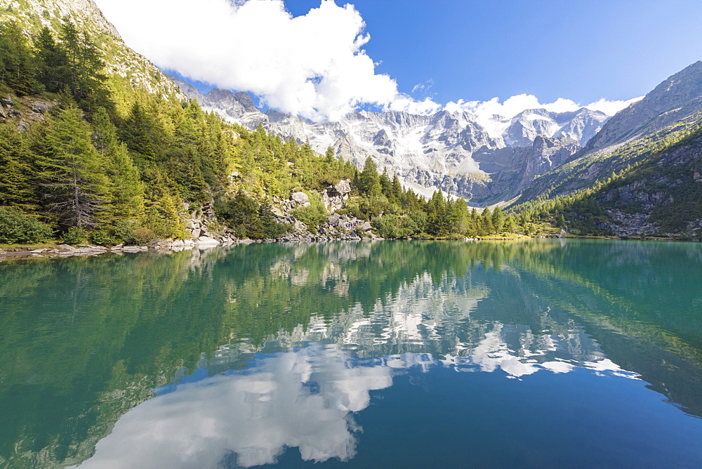 Rocky peaks and woods are reflected in Lago Aviolo, Vezza d'Oglio, Camonica Valley, province of Brescia, Lombardy, Italy, Europe