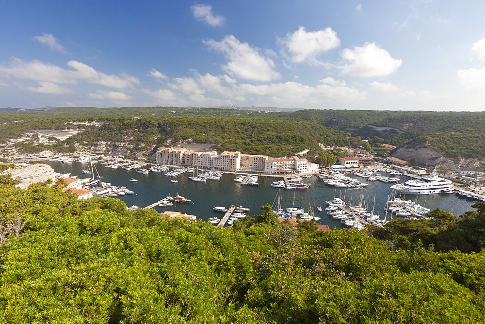 Green vegetation frames the medieval town and harbour, Bonifacio, Corsica, France, Mediterranean, Europe