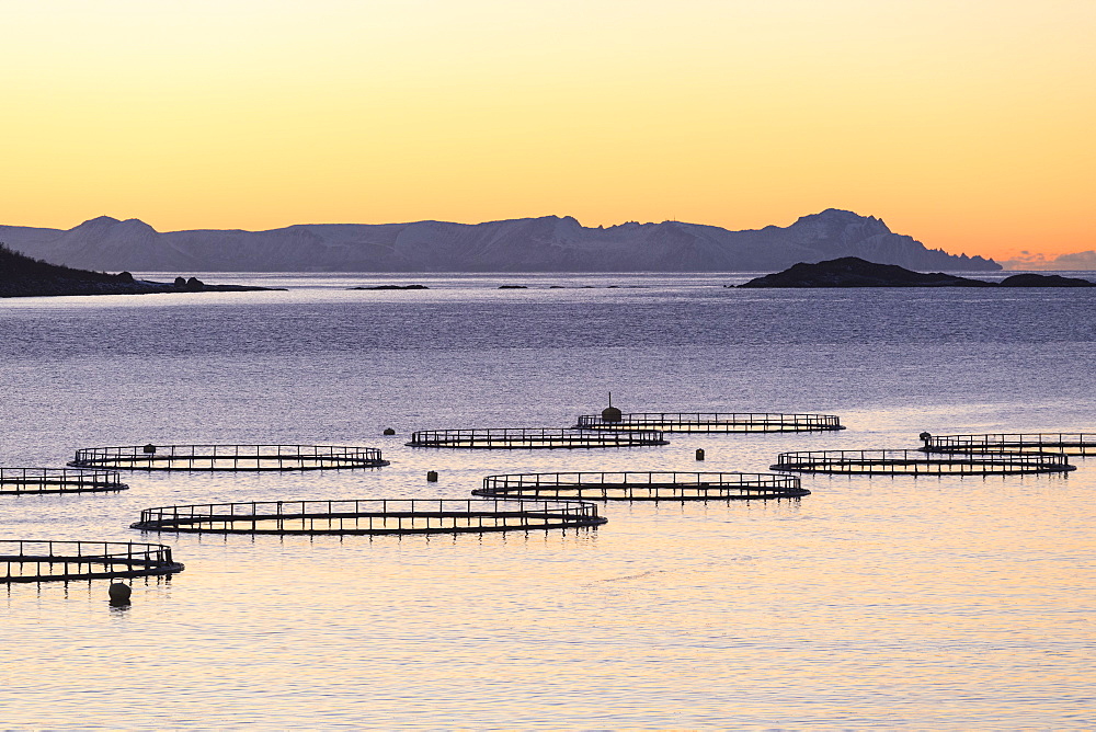 Sunset lights up the fish tanks of codfish and salmon in the cold sea of Torsken, Senja, Troms, Norway, Scandinavia, Europe