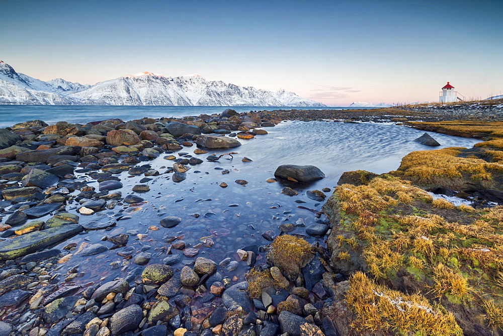 Grass and rocks frame the lighthouse surrounded by frozen sea and snowy peaks at dawn, Djupvik, Lyngen Alps, Troms, Norway, Scandinavia, Europe