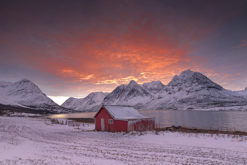 Pink clouds at dawn on the wooden hut surrounded by frozen sea and snowy peaks, Svensby, Lyngen Alps, Troms, Norway, Scandinavia, Europe