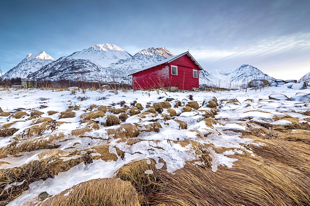 Wood hut framed by rocks covered with grass and ice with snowy peaks in the background, Svensby, Lyngen Alps, Troms, Norway, Scandinavia, Europe