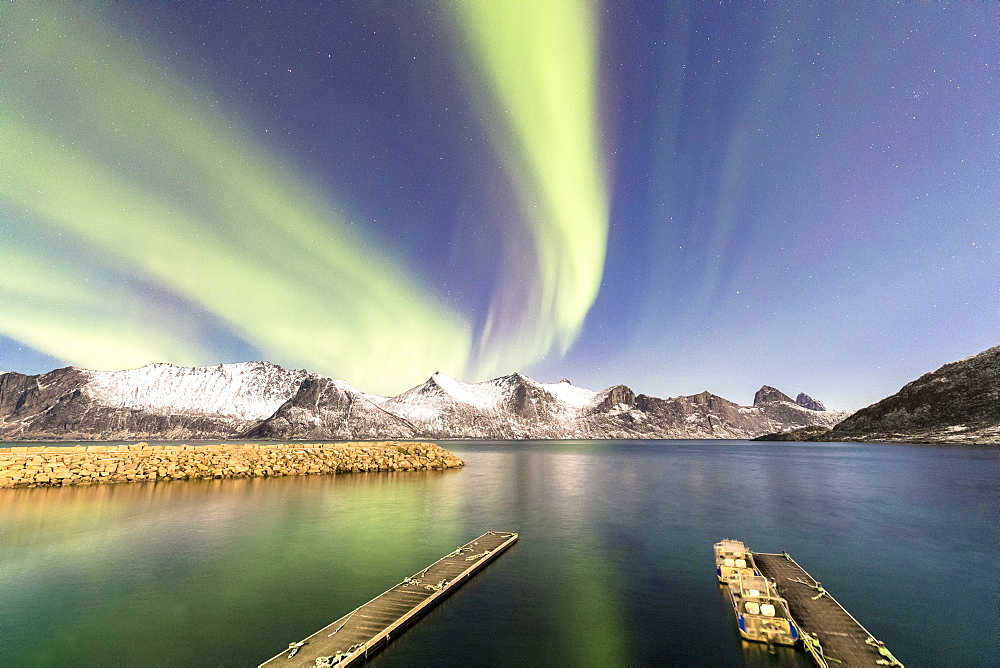 Northern lights (aurora borealis) on snowy peaks and icy sea along Mefjorden seen from the village of Mefjordvaer, Senja, Troms, Norway, Scandinavia, Europe