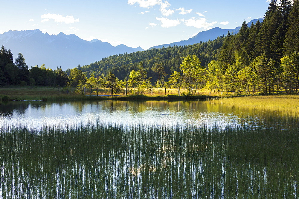 Dawn lights up the swamp of the Natural Reserve of Pian di Gembro, Aprica, province of Sondrio, Valtellina, Lombardy, Italy, Europe