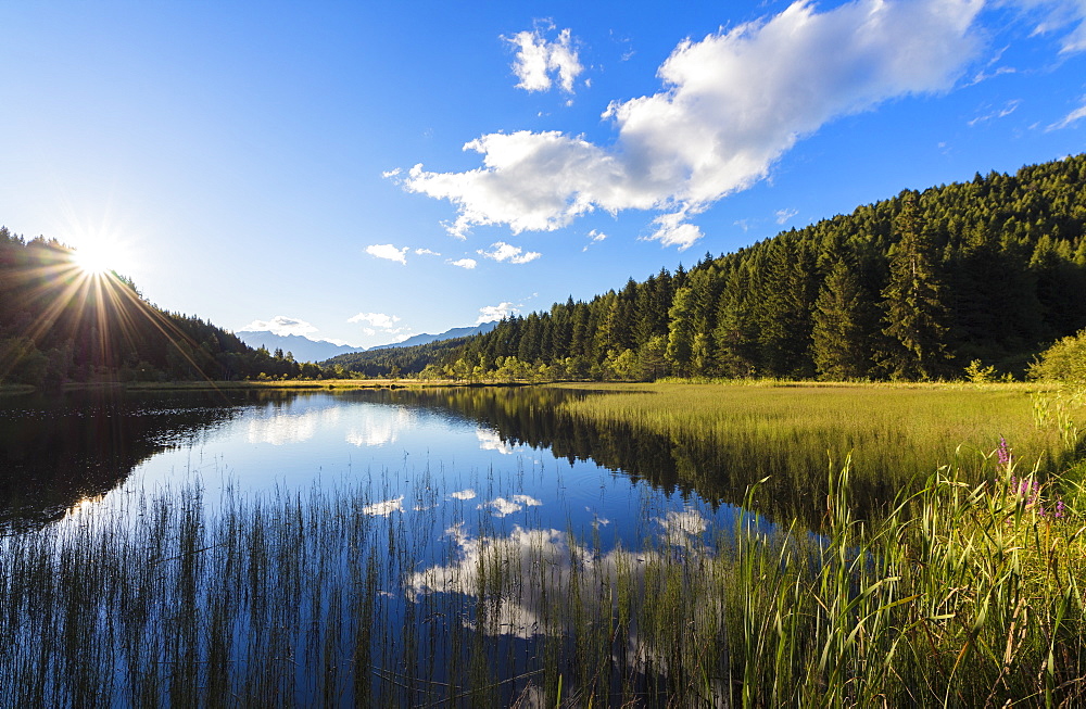 Dawn lights the swamp of the Natural Reserve of Pian di Gembro, Aprica, province of Sondrio, Valtellina, Lombardy, Italy, Europe