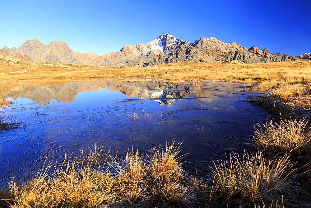 Blue lake frames the peaks of Mount Disgrazia and Cornibruciati, Val Torreggio, Malenco Valley, Valtellina, Lombardy, Italy, Europe