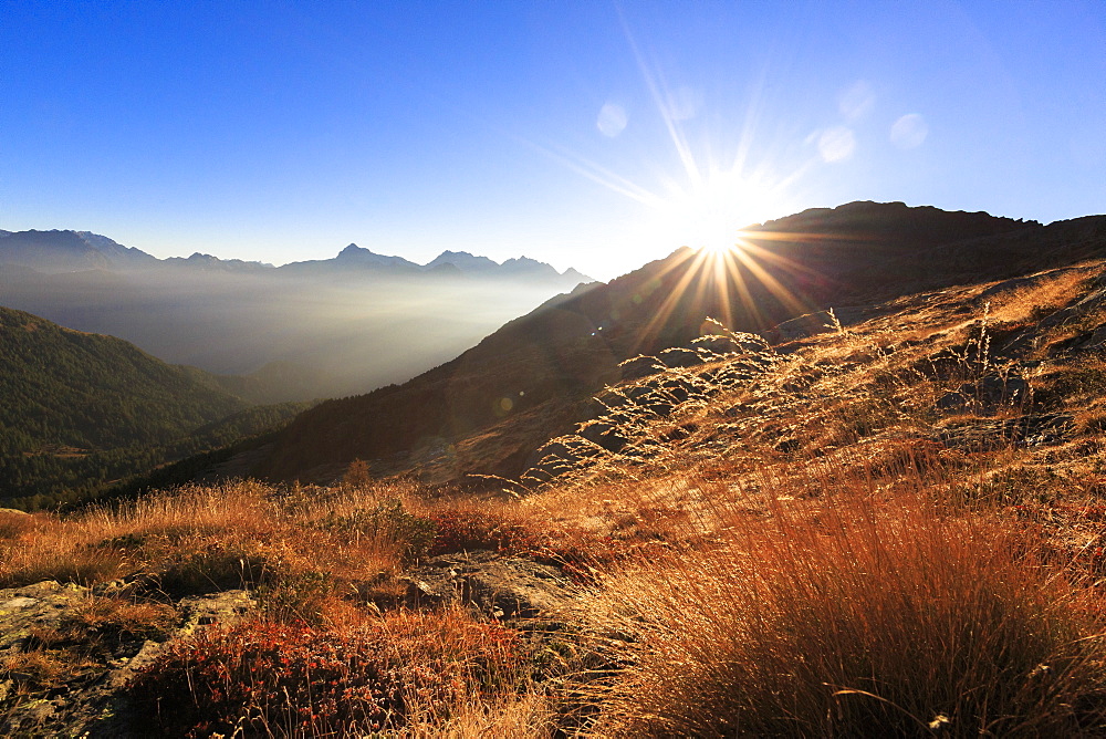 Sunbeams on alpine pastures with peak Scalino in the background, Val Torreggio, Malenco Valley, Valtellina, Lombardy, Italy, Europe