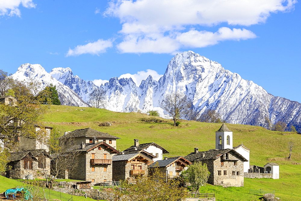 Alpine village and meadows framed by the snowy peak of Pizzo di Prata, Daloo, Chiavenna Valley, Valtellina, Lombardy, Italy, Europe