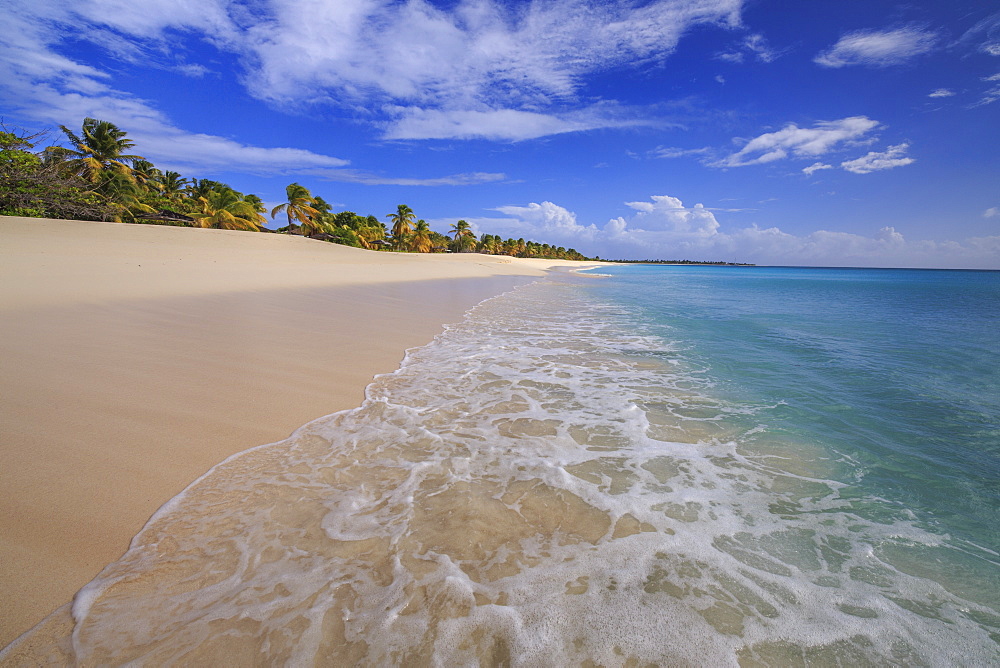 The deserted beach of K-Club, located not far from the village, closed since 2004, Barbuda, Antigua and Barbuda, Leeward Islands, West Indies, Caribbean, Central America