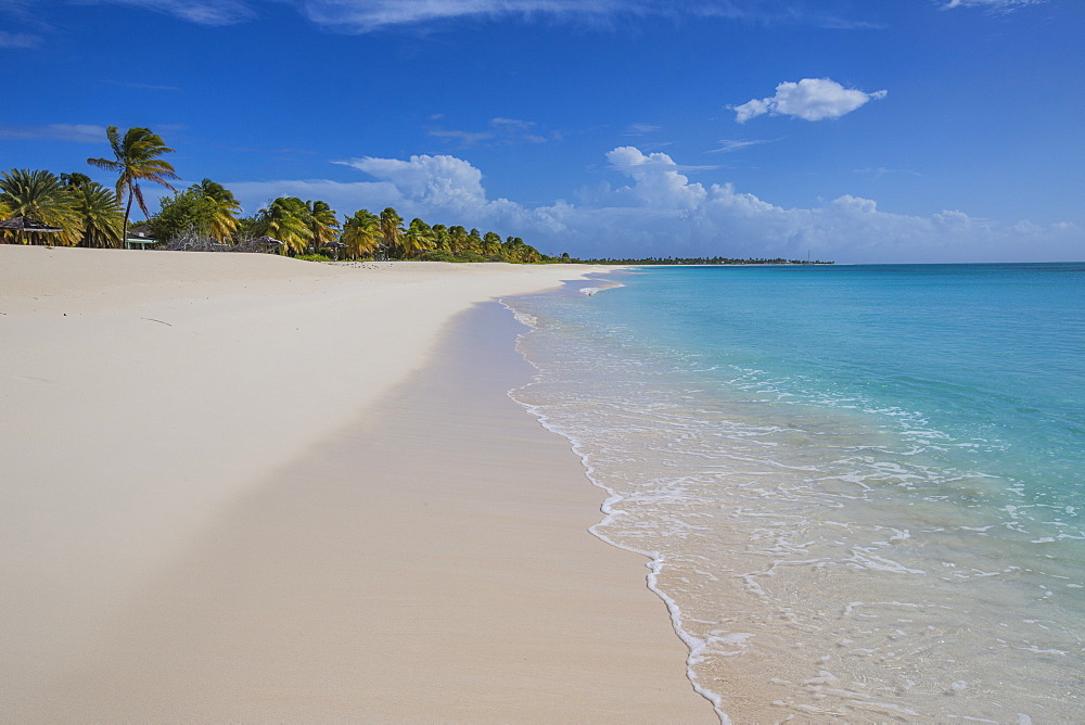 The coconut trees lapping on the beach of K-Club, a thin strip of sand overlooking the Caribbean Sea over four miles long, Barbuda, Antigua and Barbuda, Leeward Islands, West Indies, Caribbean, Central America