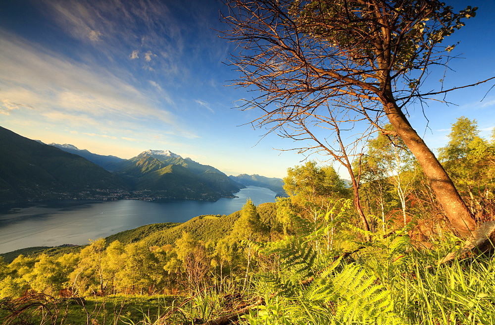 Lake Como surrounded by green meadows framed by the first lights of dawn, Cremia, San Domenico, Lombardy, Italian Lakes, Italy, Europe