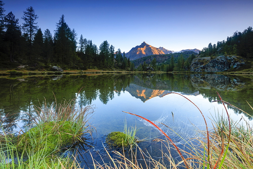 Rocky peak of Sasso Moro reflected in Lake Mufule at dawn, Malenco Valley, Province of Sondrio, Valtellina, Lombardy, Italy, Europe