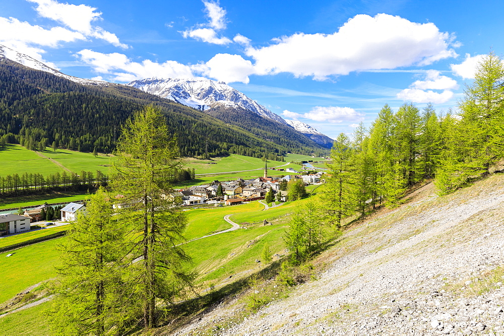 Alpine village of S-chanf surrounded by green meadows in spring, Canton of Graubunden, Maloja Region, Switzerland, Europe