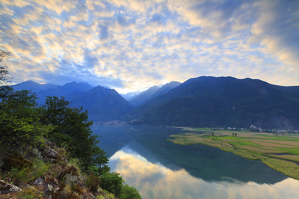 Sunrise on the Natural Reserve of Pian di Spagna, Dascio, province of Como, Chiavenna Valley, Lower Valtellina, Lombardy, Italy, Europe