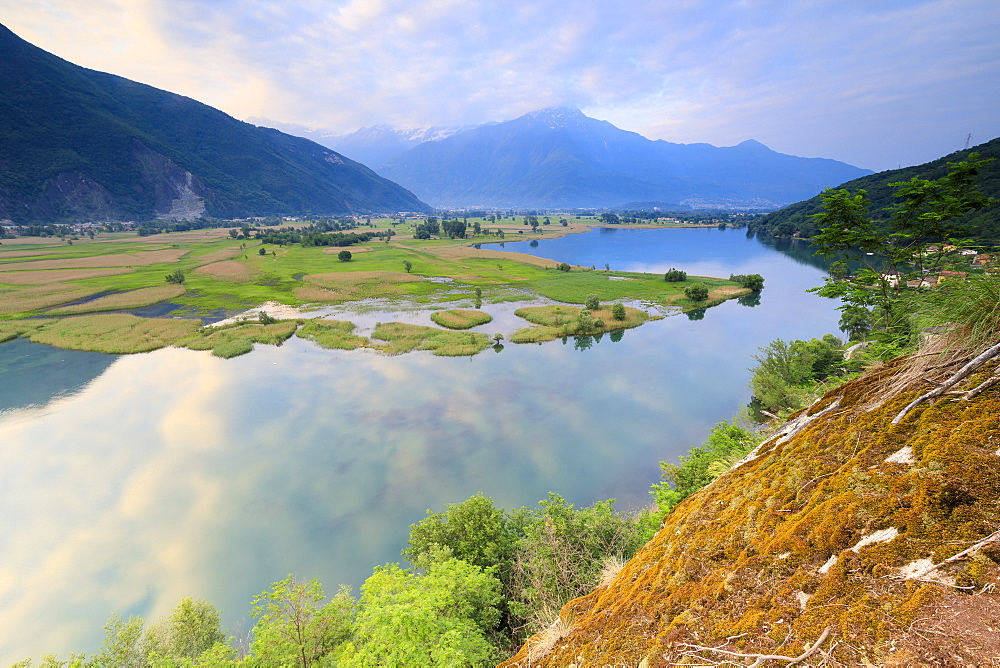 Sunrise on the Natural Reserve of Pian di Spagna, Dascio, province of Como, Chiavenna Valley, Lower Valtellina, Lombardy, Italy, Europe