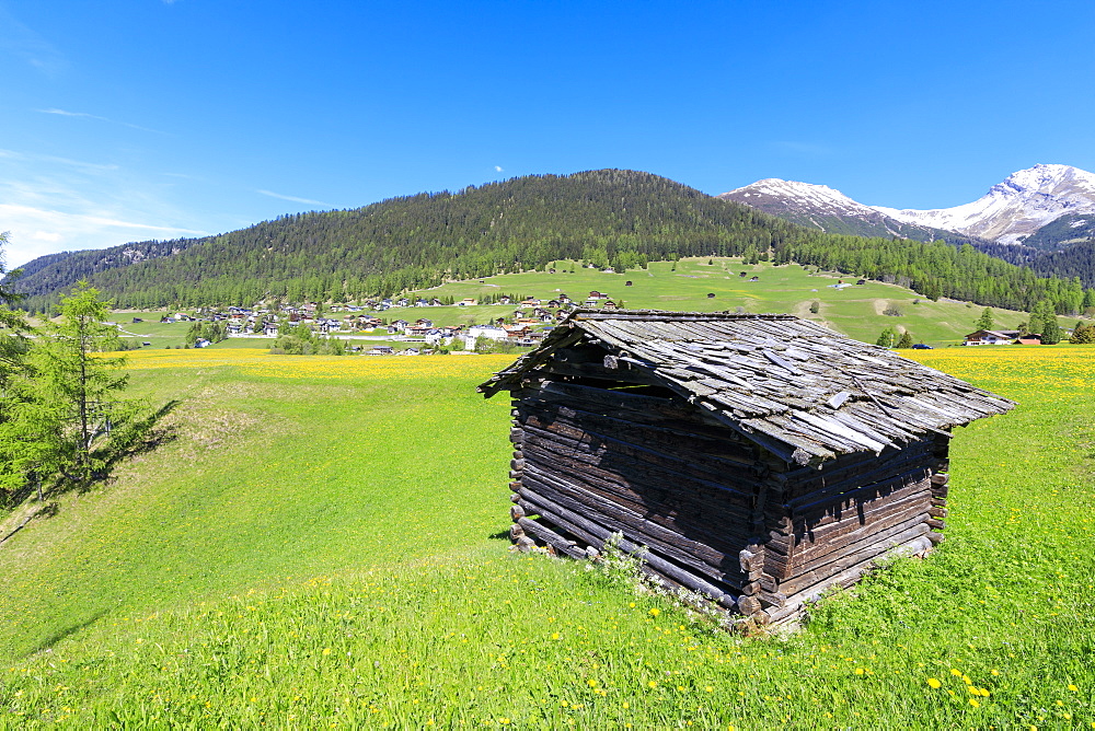 Alpine hut in the green meadows, Davos Wiesen, Canton of Graubunden, Prettigovia Davos Region, Switzerland, Europe