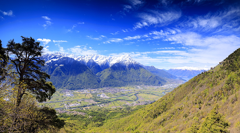 Panoramic of Rhaetian Alps in spring from Prati Nestrelli, Civo, province of Sondrio, Valtellina, Lombardy, Italy, Europe