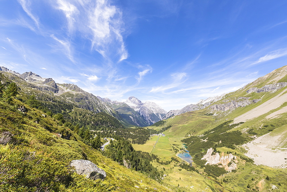 Green meadows surrounding the high peaks of the Swiss Alps, Albula Valley, Canton of Graubunden, Switzerland, Europe