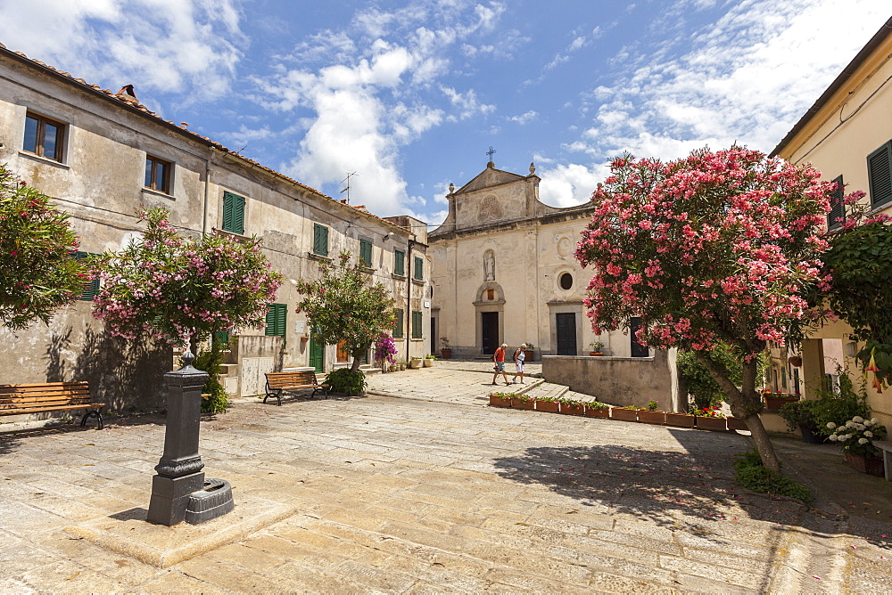 Church of Sant'Ilario in Campo, Elba Island, Livorno Province, Tuscany, Italy, Europe