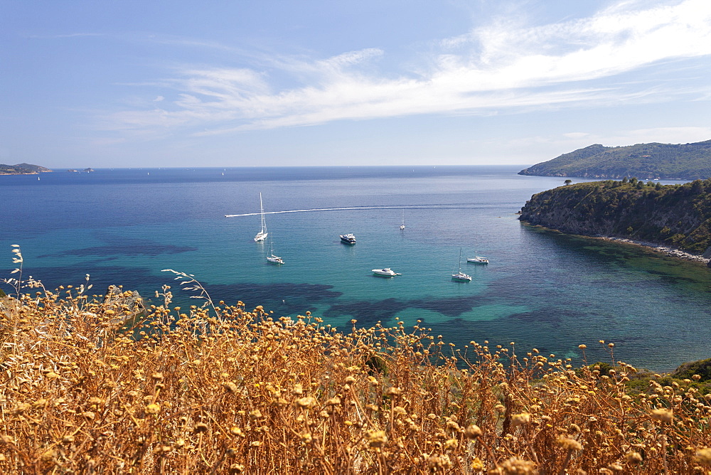 Sailboats in the turquoise sea, Sant'Andrea Beach, Marciana, Elba Island, Livorno Province, Tuscany, Italy, Europe