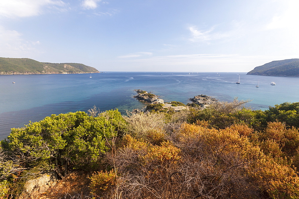 View of blue sea from inland, Lacona, Capoliveri, Elba Island, Livorno Province, Tuscany, Italy, Europe