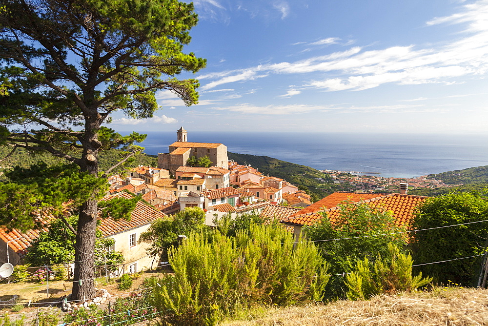 Village of Poggio on the hills of Monte Capanne, Marciana, Elba Island, Livorno Province, Tuscany, Italy, Europe