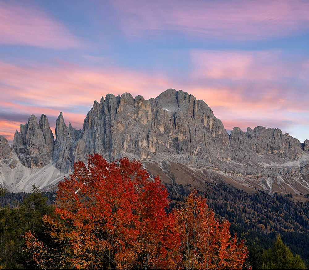 Sunrise on Catinaccio Rosengarten and Torri Del Vajolet in autumn, Tires Valley, Dolomites, South Tyrol, Bolzano province, Italy, Europe