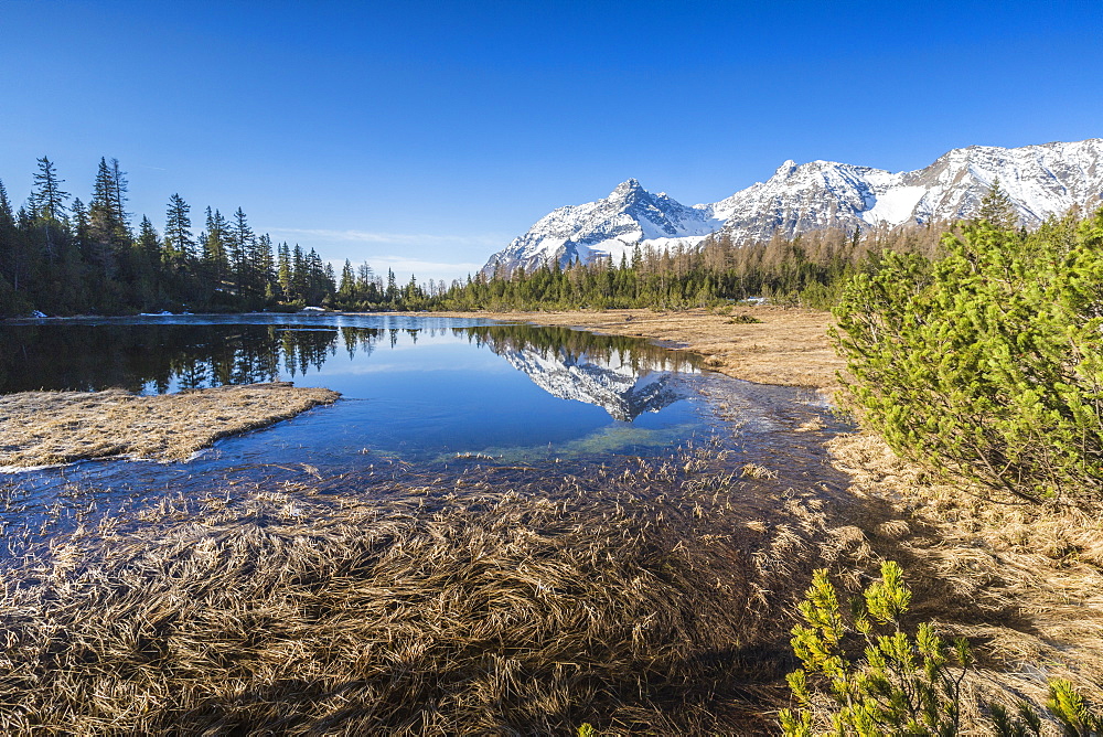 Snowy peaks reflected in Lake Entova, Malenco Valley, province of Sondrio, Valtellina, Lombardy, Italy, Europe