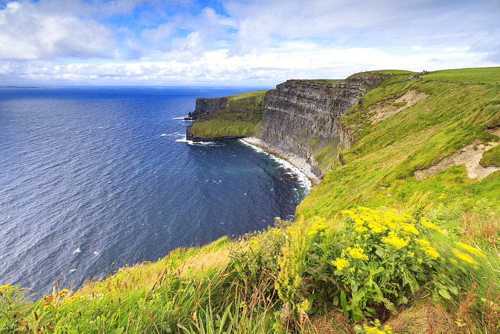 Cliffs of Moher, The Burren, County Clare, Munster, Republic of Ireland, Europe