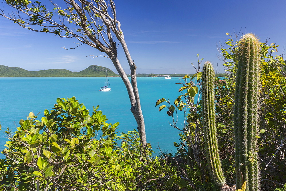 Panoramic view of Spearn Bay from a hill overlooking the quiet lagoon visited by many sailboats, St. Johns, Antigua, Leeward Islands, West Indies, Caribbean, Central America