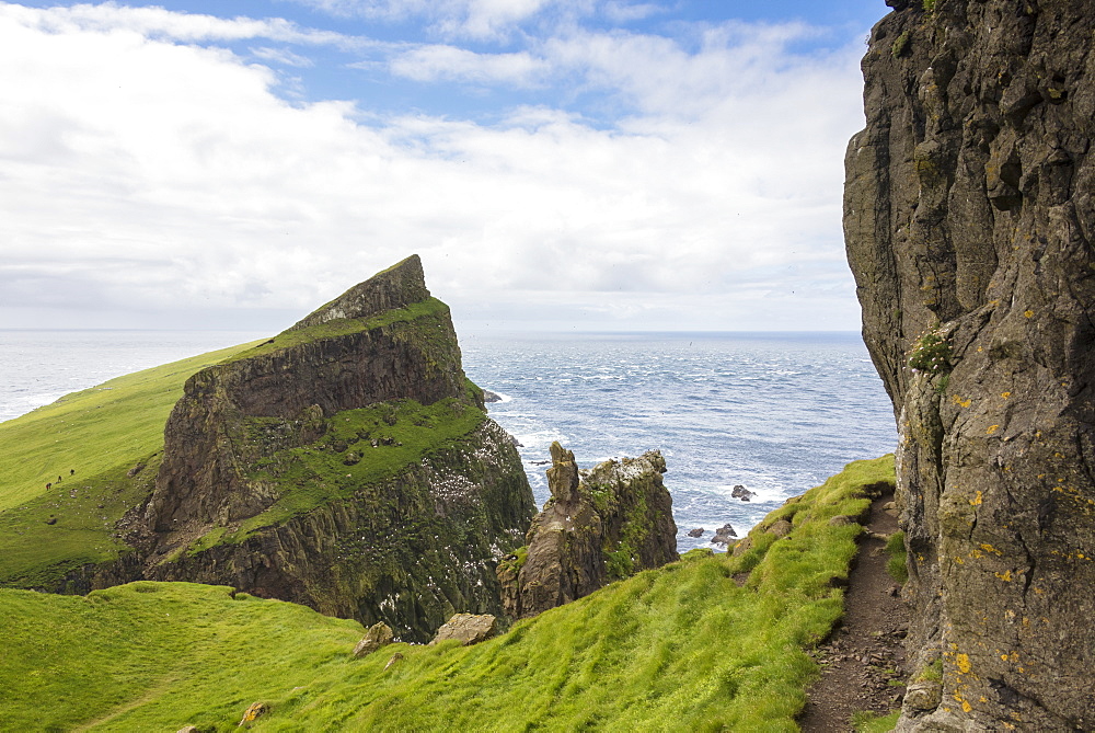 Cliffs overlooking the ocean, Mykines Island, Faroe Islands, Denmark, Europe