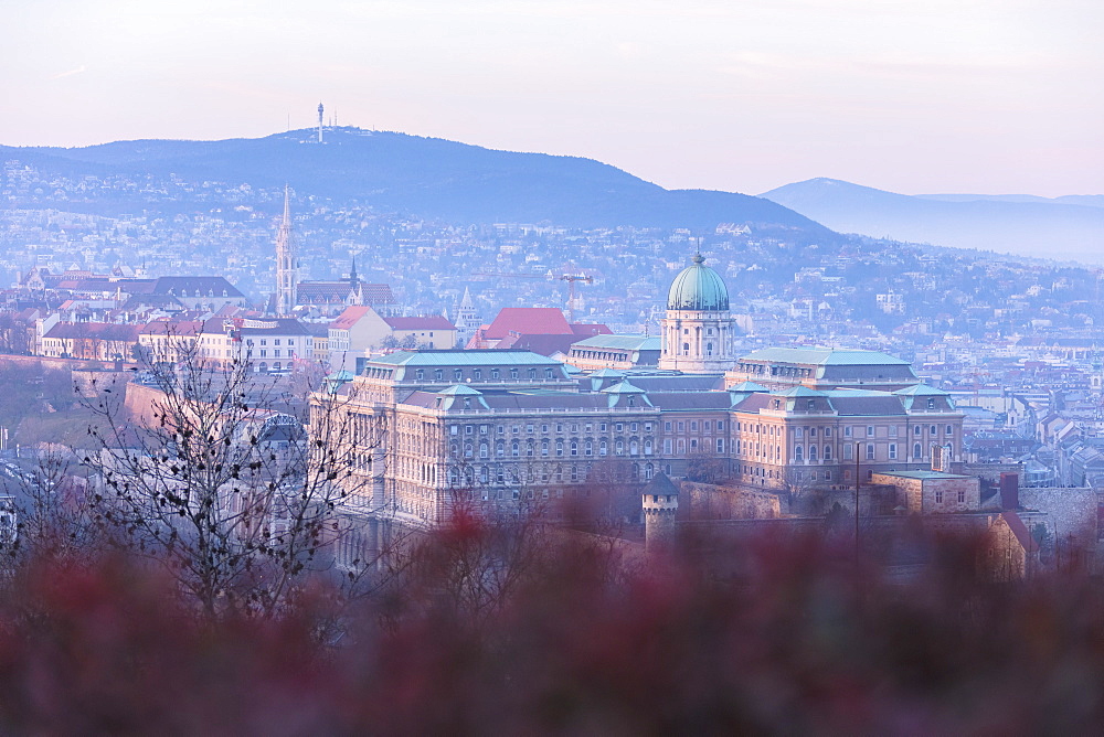 Buda Castle, Budapest, Hungary, Europe