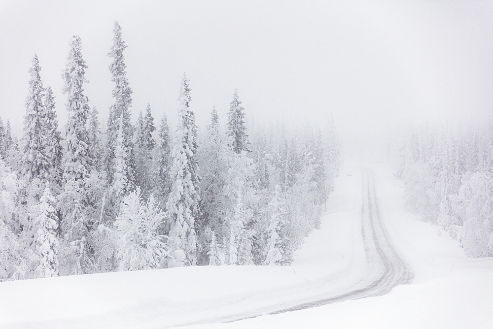 Icy road in the misty forest, Levi, Kittila, Lapland, Finland, Europe