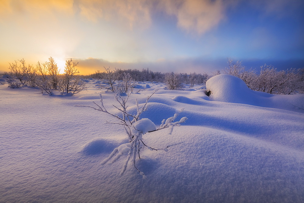 Sunset on the forest covered with snow, Muonio, Lapland, Finland, Europe