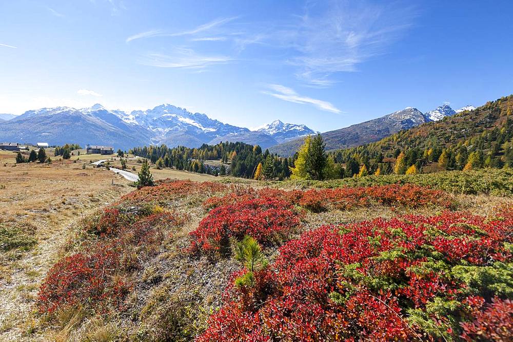 Val Vezzola during autumn, Valdidentro, Valtellina, Sondrio province, Lombardy, Italy, Europe