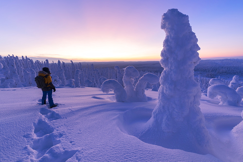 Hiker in the frozen forest, Riisitunturi National Park, Posio, Lapland, Finland, Europe