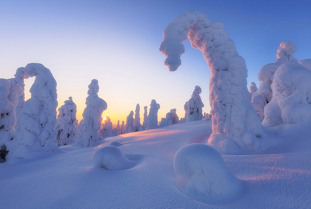 Sunburst on frozen trees at dawn, Riisitunturi National Park, Posio, Lapland, Finland, Europe