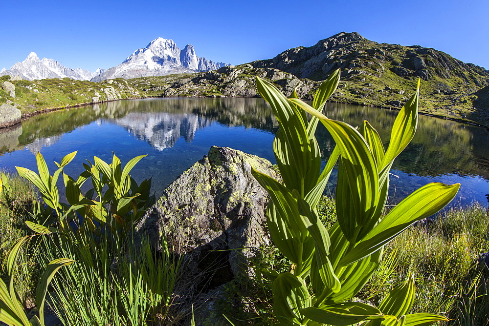 Aiguille Verte from Lac des Cheserys, Haute Savoie, French Alps, France, Europe 