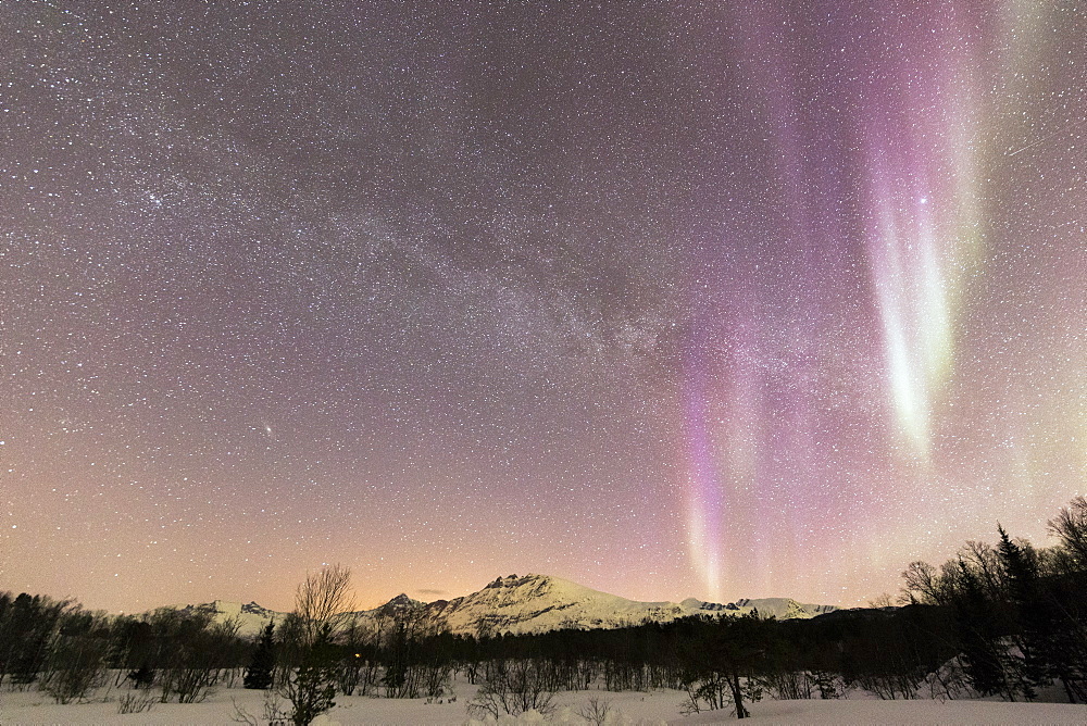 Northern Lights (Aurora borealis), Skoddebergvatnet, Grovfjord, Troms county, Lofoten Islands, Nordland, Norway, Europe