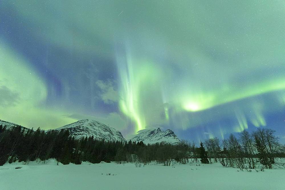 Northern Lights (Aurora borealis), Skoddebergvatnet, Grovfjord, Troms county, Lofoten Islands, Nordland, Norway, Europe