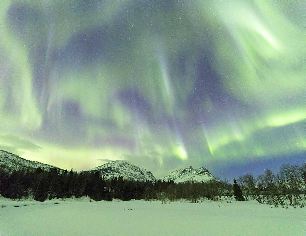 Panoramic of Northern Lights (Aurora borealis), Skoddebergvatnet, Grovfjord, Troms county, Lofoten Islands, Nordland, Norway, Europe