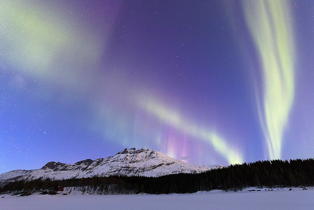 Northern Lights (Aurora borealis), Skoddebergvatnet, Grovfjord, Troms county, Lofoten Islands, Nordland, Norway, Europe