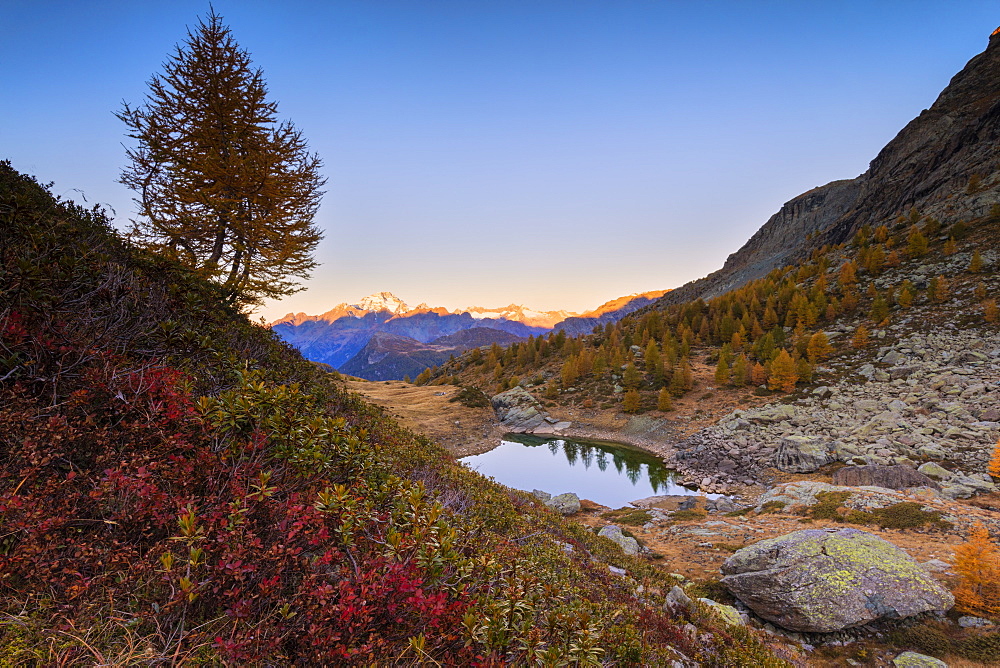 Autumnal sunrise on Monte Disgrazia and Lakes of Campagneda, Valmalenco, Valtellina, Sondrio province, Lombardy, Italy, Europe