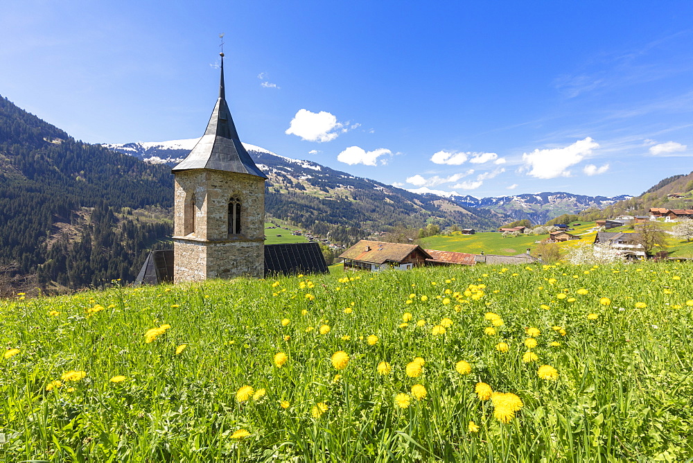 Bell tower surrounded by wildflowers and meadows in spring, Luzein, Prattigau-Davos region, Canton of Graubunden, Switzerland, Europe