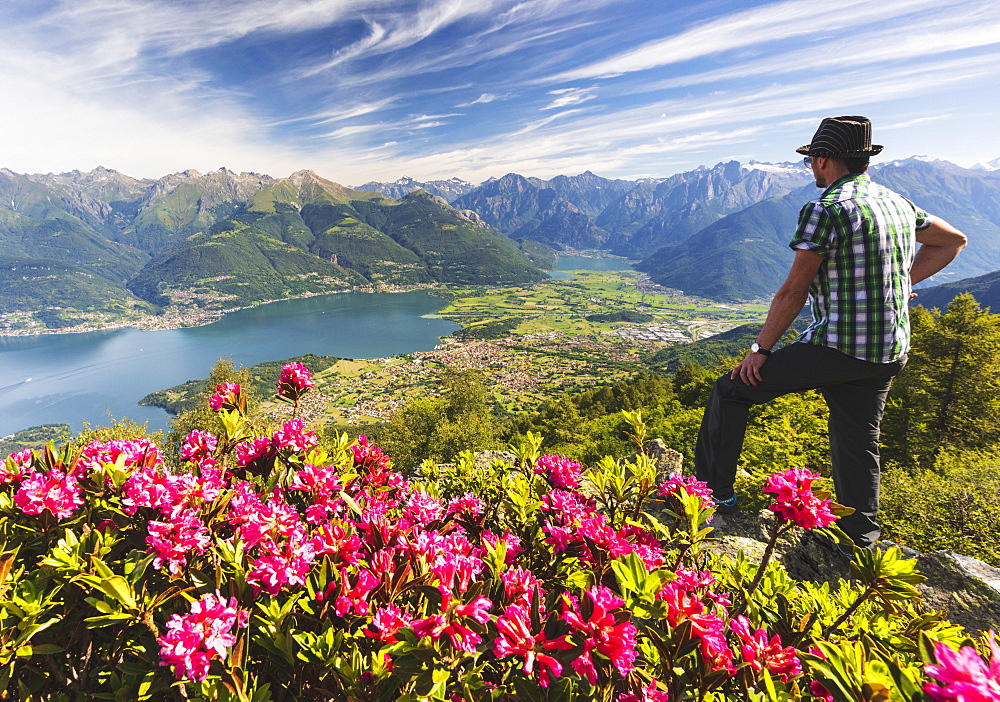 Man beside rhododendrons in bloom looks towards Lake Como and Alto Lario, Monte Legnoncino, Lecco province, Lombardy, Italy, Europe