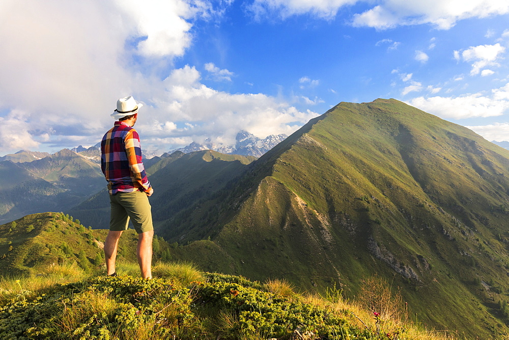 Man on top of Monte Rolla looks to Monte Disgrazia and Sasso Canale, Sondrio province, Valtellina, Lombardy, Italy, Europe