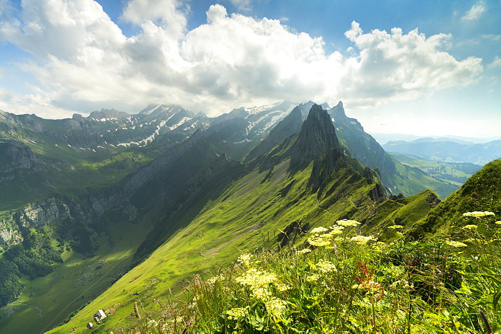 Peak Santis seen from Schafler during summer, Appenzell Innerrhoden, Switzerland, Europe