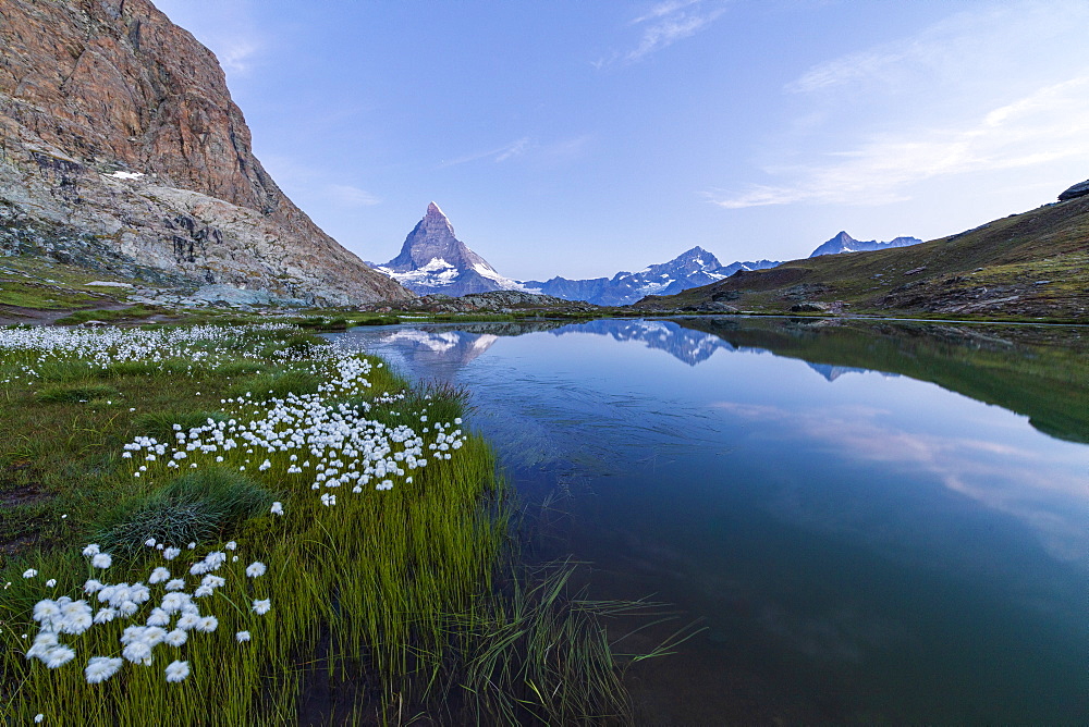 Cotton grass on the shore of lake Riffelsee with the Matterhorn in the background, Zermatt, canton of Valais, Swiss Alps, Switzerland, Europe