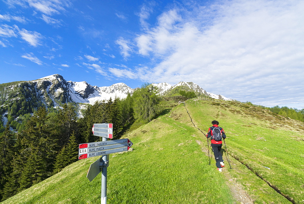 Hiker on footpath, Motta di Olano, Valgerola, Valtellina, Sondrio province, Lombardy, Italy, Europe